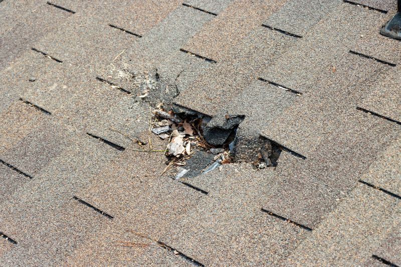 Damaged Roof Replacement in Rhea County, TN