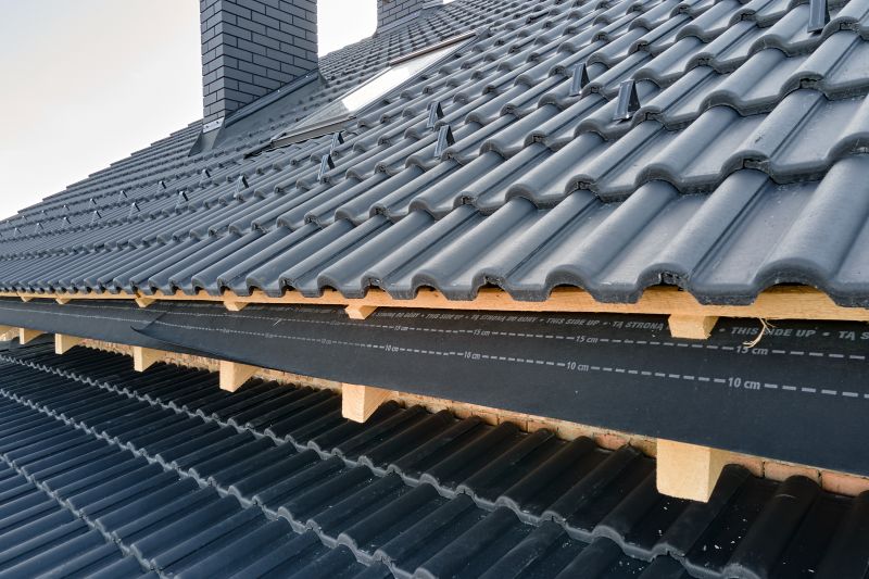 Roof Construction in Sale Creek, TN