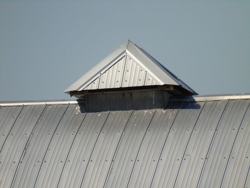 Tin Roof Installation in Spring City, TN